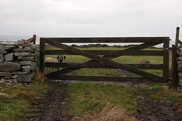 Image showing Guarded gate