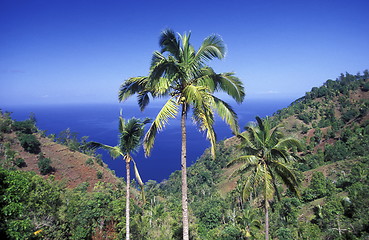 Image showing AFRICA COMOROS ANJOUAN