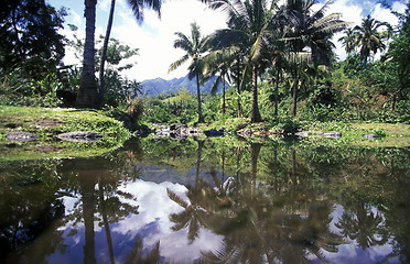 Image showing AFRICA COMOROS ANJOUAN