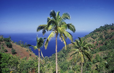 Image showing AFRICA COMOROS ANJOUAN