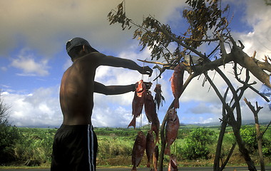 Image showing AFRICA FRANCE LA REUNION