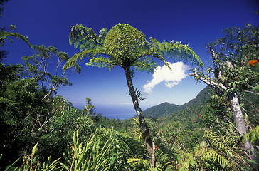 Image showing AFRICA COMOROS ANJOUAN