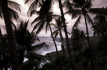 Image showing AFRICA COMOROS ANJOUAN