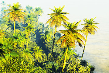 Image showing Beautiful palm trees