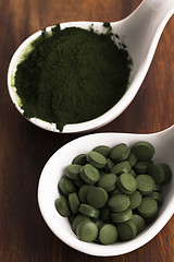 Image showing Green chlorella