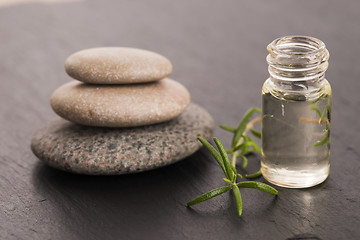 Image showing Essential oil with rosemary and fresh green leaves 