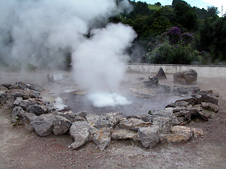 Image showing Geothermal Geyser