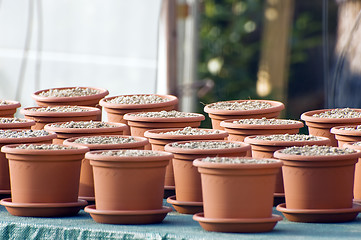 Image showing Clay pots