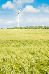 Image showing Summer landscape with wind generators  