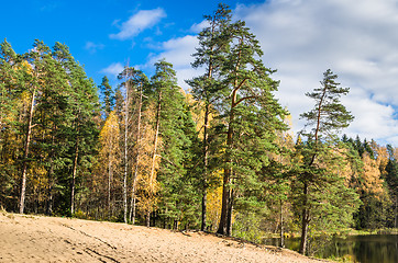 Image showing Beautiful autumn landscape with forest Lake  