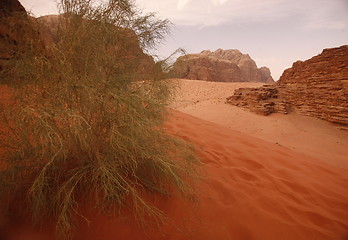 Image showing ASIA MIDDLE EAST JORDAN WADI RUM