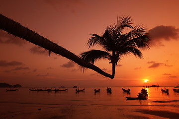 Image showing ASIA THAILAND KO TAO