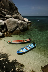 Image showing ASIA THAILAND KO TAO