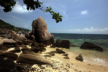 Image showing ASIA THAILAND KO TAO