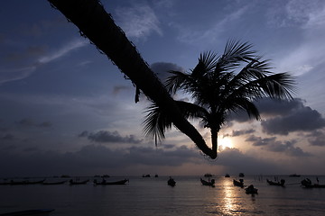 Image showing ASIA THAILAND KO TAO