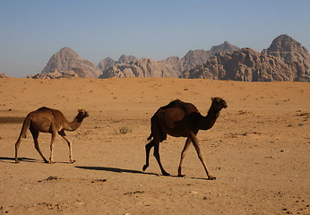 Image showing ASIA MIDDLE EAST JORDAN WADI RUM