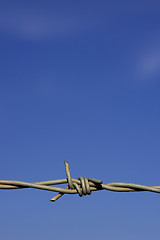 Image showing Barbed wire fence detail