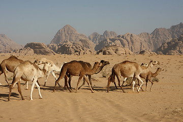 Image showing ASIA MIDDLE EAST JORDAN WADI RUM