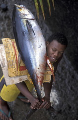 Image showing AFRICA COMOROS ANJOUAN