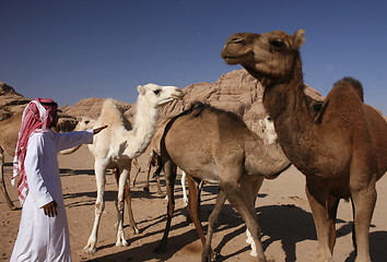 Image showing ASIA MIDDLE EAST JORDAN WADI RUM