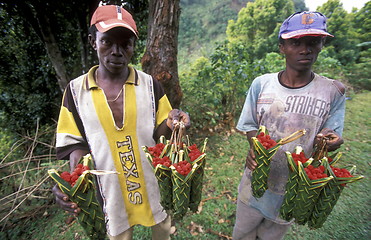 Image showing AFRICA COMOROS ANJOUAN