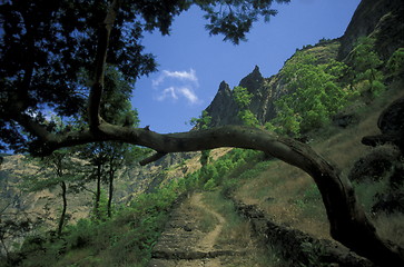 Image showing AFRICA CAPE VERDE SANTO ANTAO