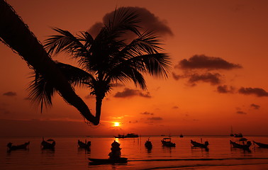 Image showing ASIA THAILAND KO TAO