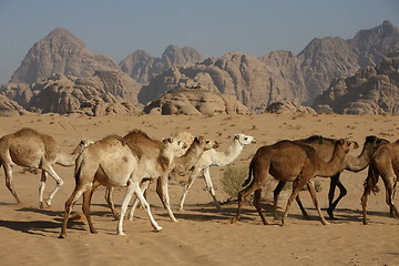 Image showing ASIA MIDDLE EAST JORDAN WADI RUM