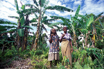 Image showing AFRICA COMOROS ANJOUAN