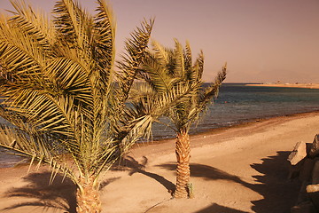 Image showing ASIA MIDDLE EAST JORDAN AQABA