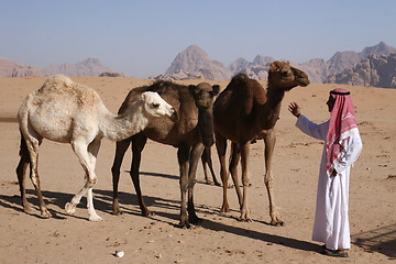 Image showing ASIA MIDDLE EAST JORDAN WADI RUM