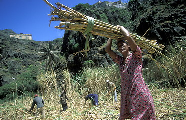 Image showing AFRICA CAPE VERDE SANTO ANTAO