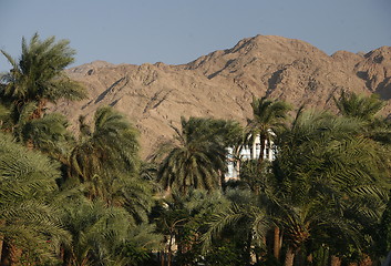 Image showing ASIA MIDDLE EAST JORDAN AQABA