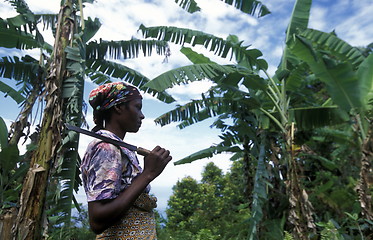 Image showing AFRICA COMOROS ANJOUAN