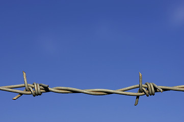 Image showing Barbed wire fence detail