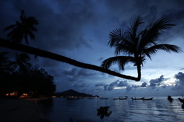 Image showing ASIA THAILAND KO TAO