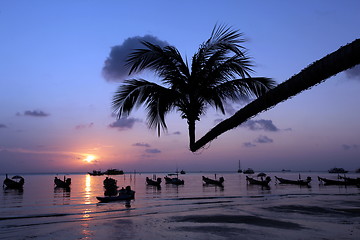 Image showing ASIA THAILAND KO TAO