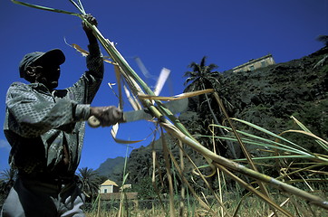 Image showing AFRICA CAPE VERDE SANTO ANTAO