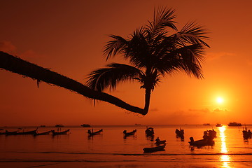 Image showing ASIA THAILAND KO TAO