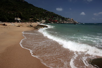 Image showing ASIA THAILAND KO TAO