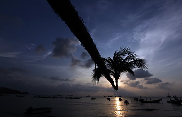 Image showing ASIA THAILAND KO TAO