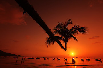 Image showing ASIA THAILAND KO TAO