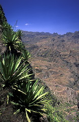 Image showing AFRICA CAPE VERDE SANTO ANTAO