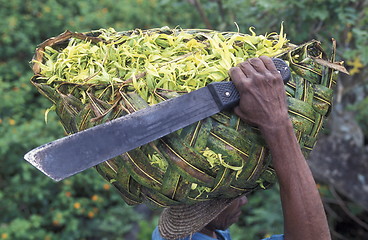 Image showing AFRICA COMOROS ANJOUAN