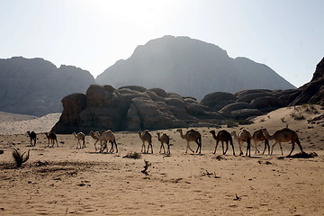 Image showing ASIA MIDDLE EAST JORDAN WADI RUM