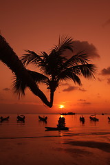 Image showing ASIA THAILAND KO TAO