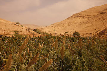 Image showing ASIA MIDDLE EAST JORDAN 