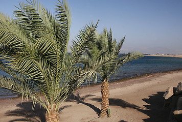 Image showing ASIA MIDDLE EAST JORDAN AQABA