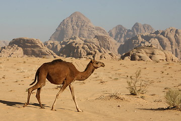 Image showing ASIA MIDDLE EAST JORDAN WADI RUM