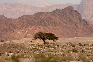 Image showing ASIA MIDDLE EAST JORDAN 